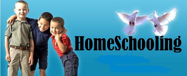 homeschooling articles